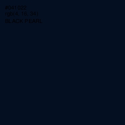 #041022 - Black Pearl Color Image